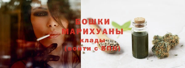 2c-b Саяногорск