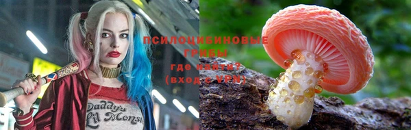 2c-b Саяногорск